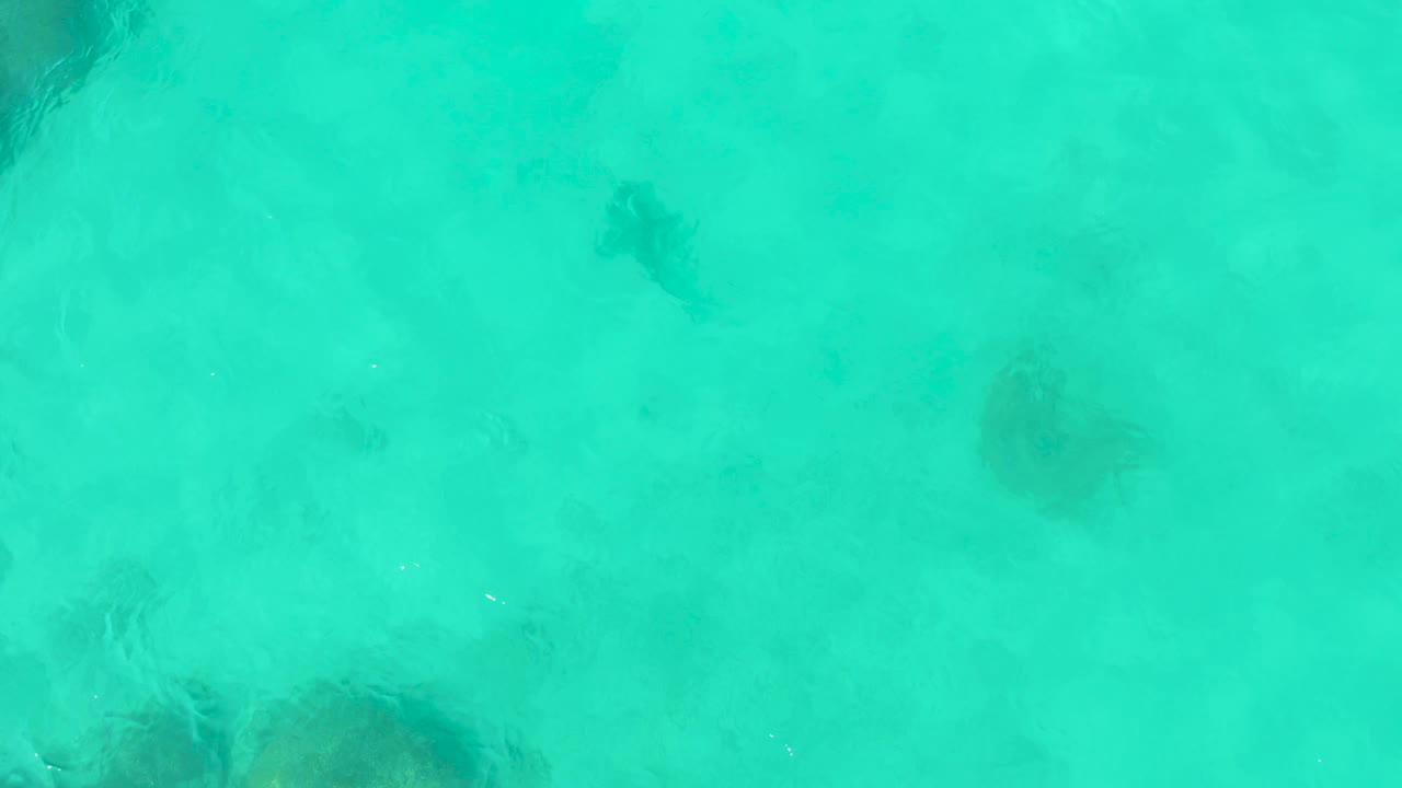 Overhead view of a sea turtle in turquoise shallow water near dark reef patches.