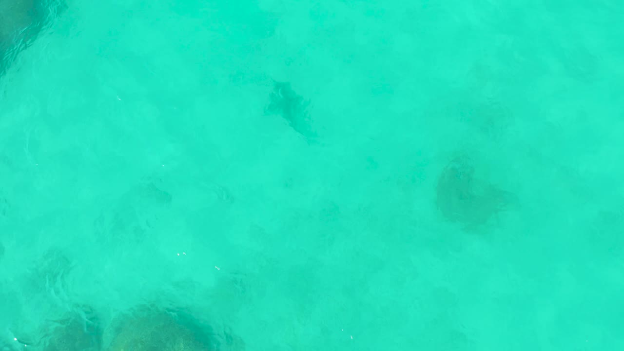 The turtle remains near the center of the overhead frame in Cabo Pulmo, surrounded by pale turquoise water, soft surface ripples, and faint darker bottom features with no visible people.