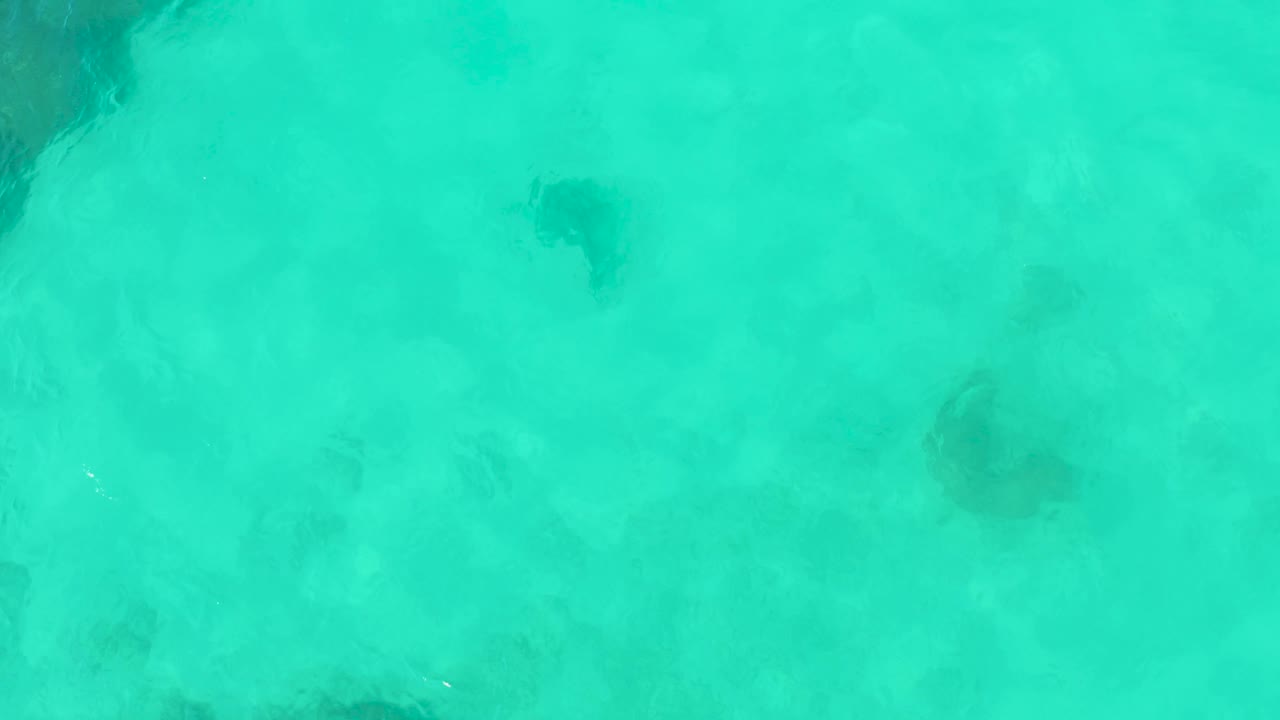 A small sea turtle is visible below the rippled turquoise surface in Cabo Pulmo, with darker rock or coral shapes set farther across the shallow bottom and no visible people.