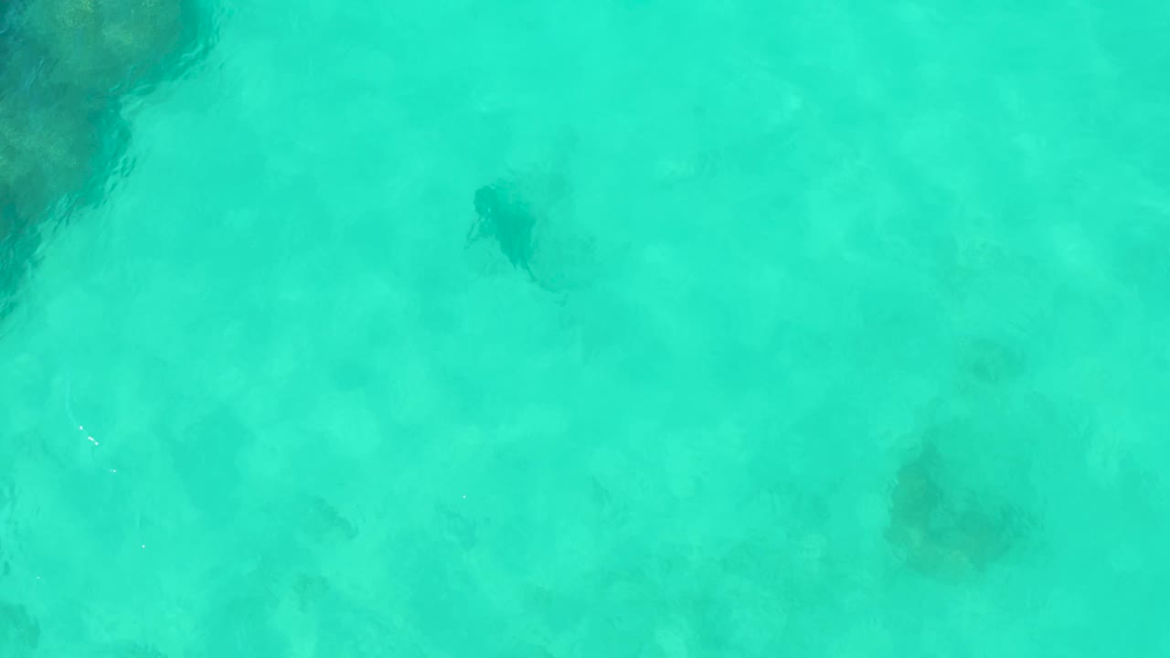 The turtle is seen from above in Cabo Pulmo near a larger dark reef or coral patch, with turquoise water and surface shimmer partially veiling the underwater shape and no visible people.