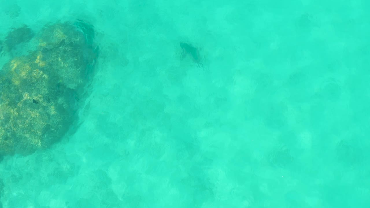 Overhead view of clear turquoise water in Cabo Pulmo with a large rock at the left edge, a smaller rock near the upper center, and no visible people.