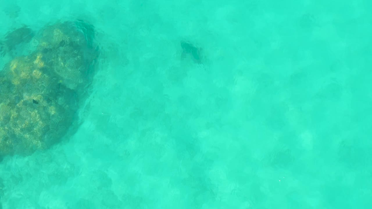 Clear shallow water in Cabo Pulmo shows a large submerged rock near the upper left-center and a small dark fish shape above it, with no visible people.