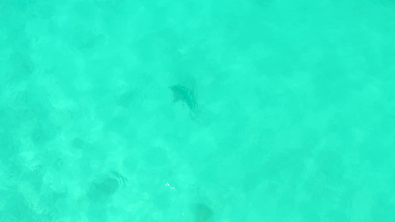 The stingray sits higher in the overhead Cabo Pulmo view, faintly darker against the turquoise water and sandy bottom, with no visible people.
