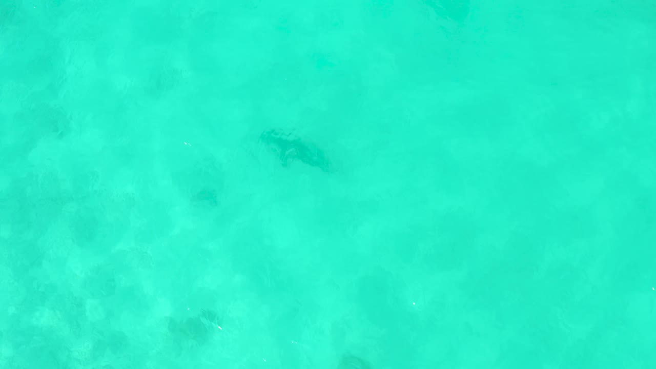 A stingray is visible near the upper right portion of the overhead Cabo Pulmo frame, partly softened by ripples and milky turquoise water, with no visible people.
