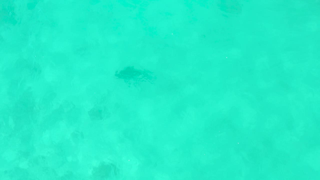 The overhead Cabo Pulmo view shows a darker stingray shape near the lower left area, with cloudy turquoise water and sand tones below, and no visible people.