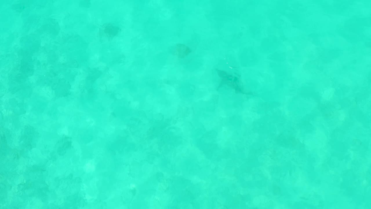 Overhead view of clear turquoise water in Cabo Pulmo with faint dark fish shapes over a pale seabed and no visible people.