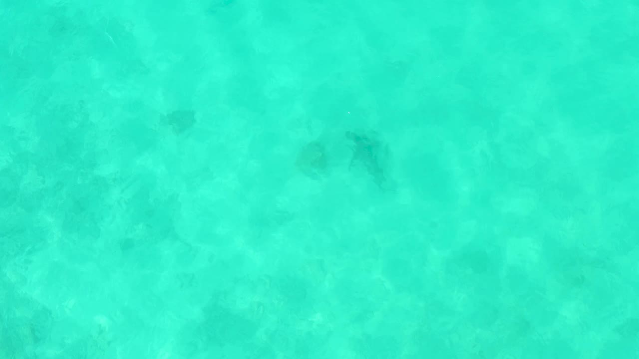 Shallow turquoise water with darker fish marks under the surface