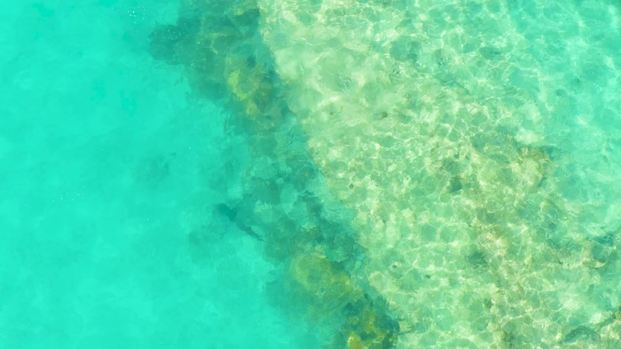 Clear Cabo Pulmo shallows show a pale reef shelf, rippled sunlight, and a small dark fish shape in open turquoise water with no visible people.