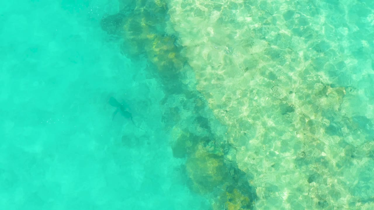 Clear shallow water with reef texture and a dark fish silhouette.