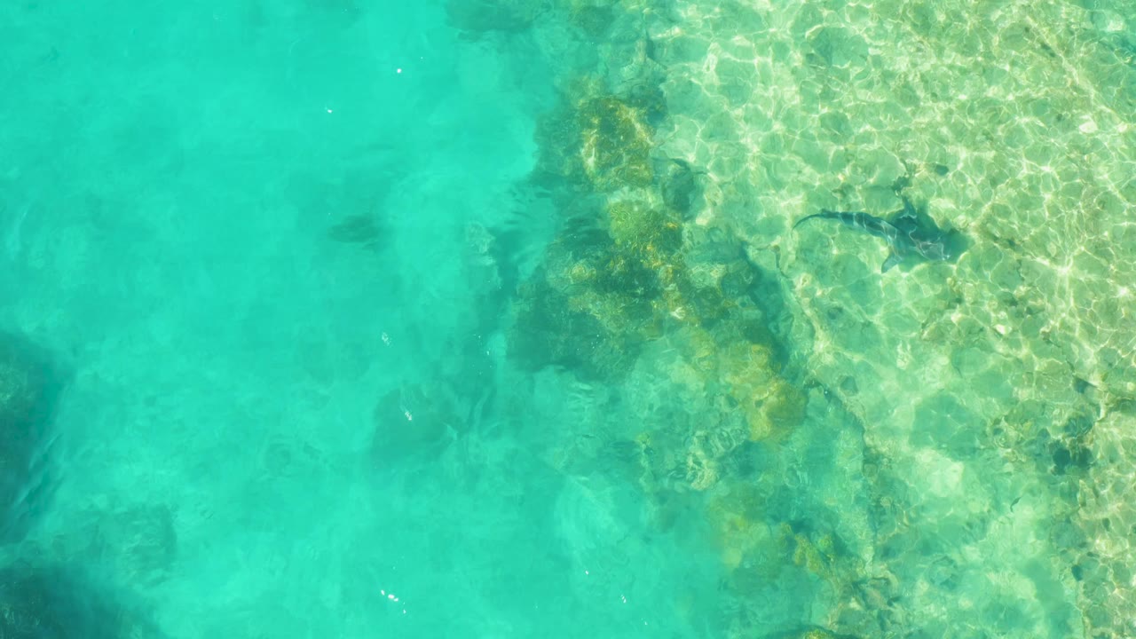 Top-down turquoise shallow water with rocks, coral, and a dark fish near the upper right.