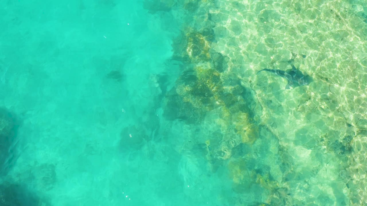 Aerial frame from Cabo Pulmo showing clear water, mottled rocks and coral, bright sunlight patterns, and a dark fish close to the top-right edge with no visible people.