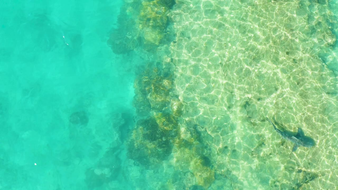 Overhead Cabo Pulmo water view with a bright sandy-rocky seabed on the right, turquoise water on the left, coral patches, and a dark fish lower right with no visible people.