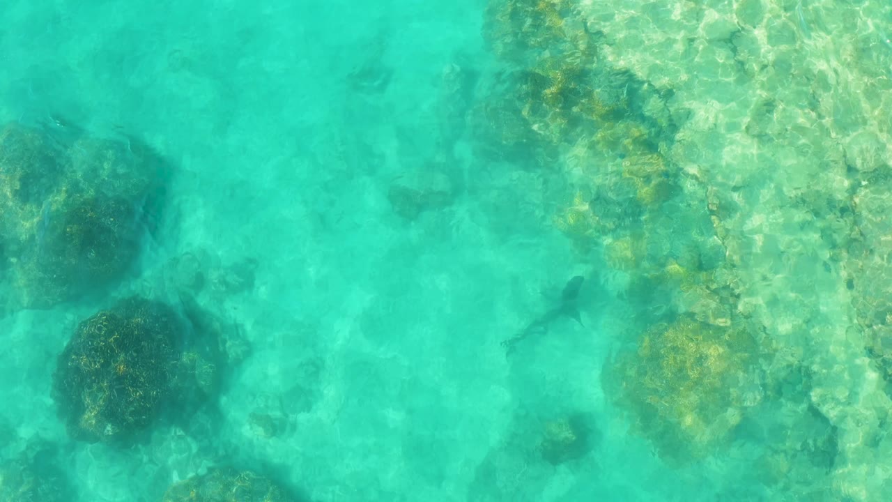 Clear blue-green water in Cabo Pulmo shows fish shapes spread across a rocky seabed with bright ripple light and no visible people.