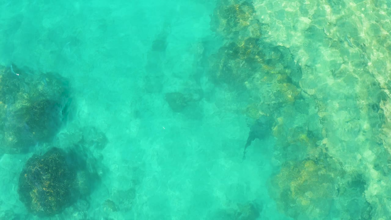 A shallow turquoise section of Cabo Pulmo water reveals rocks on the right side and darker fish forms beneath the surface, with no visible people.