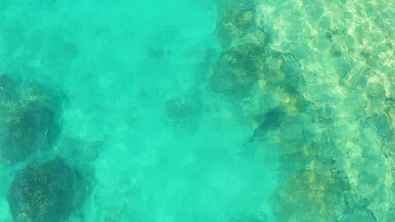 Cabo Pulmo water fills the frame with a rocky seabed along the right, dark fish shapes in the middle distance, and no visible people.