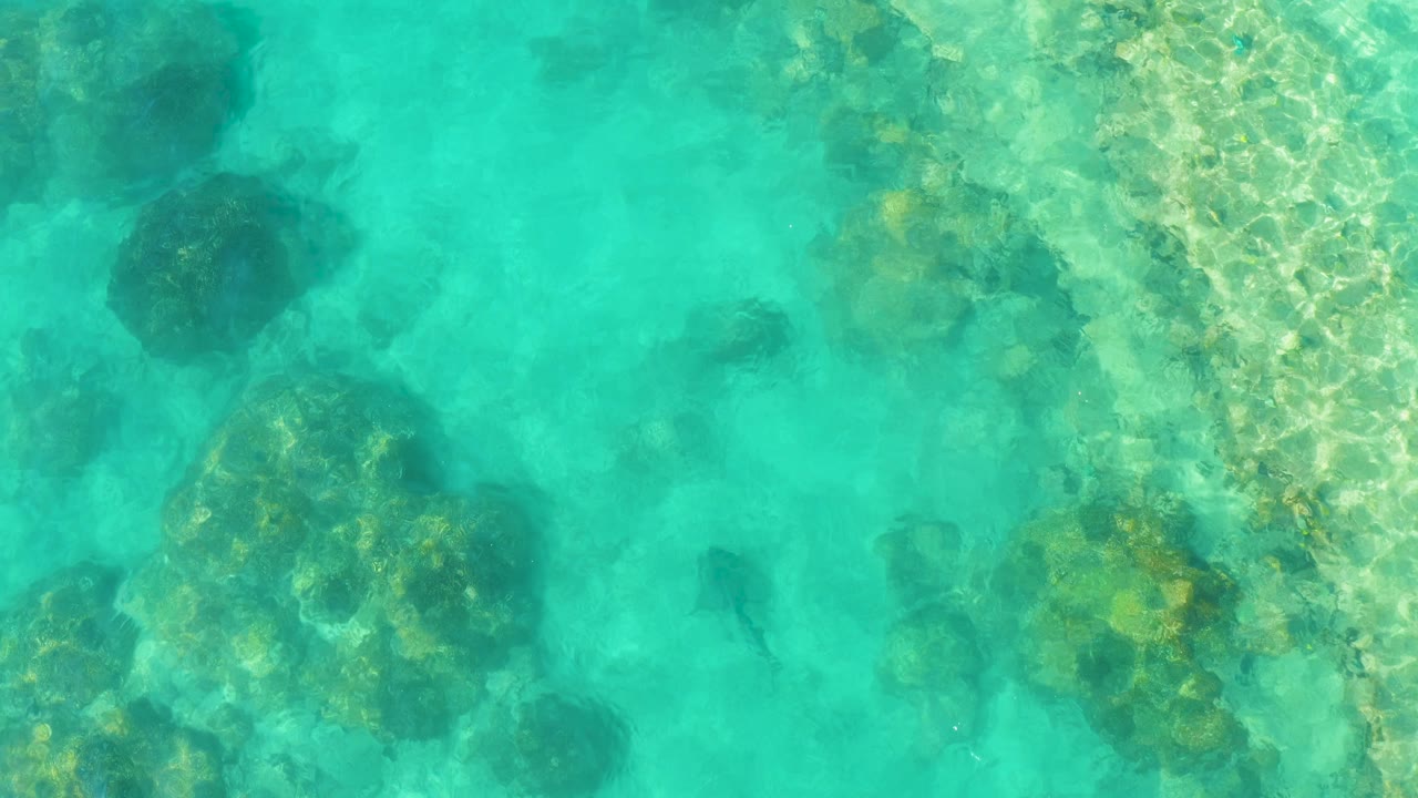 Overhead view in Cabo Pulmo of clear turquoise shallows with dark fish shapes near reef rocks and no visible people.