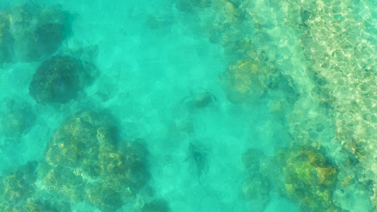 A top-down Cabo Pulmo frame shows small fish silhouettes in turquoise water beside sunlit rock patches and no visible people.
