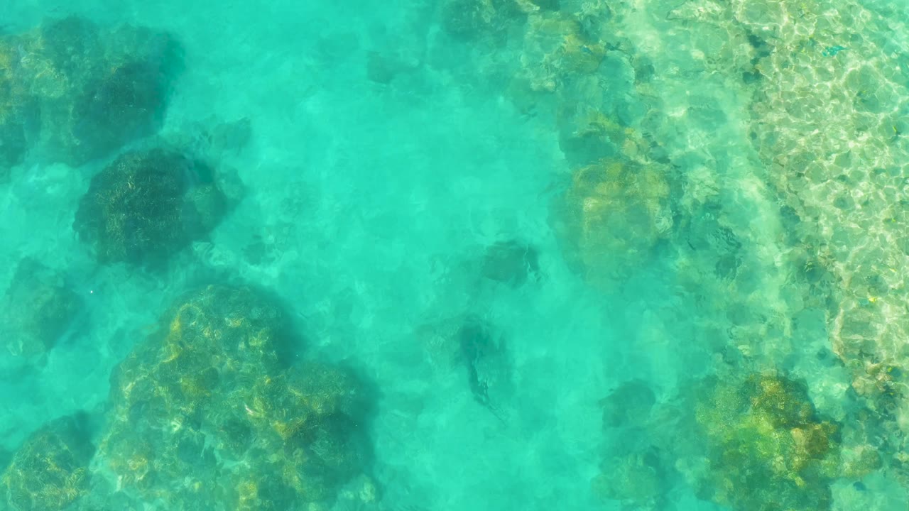 Rocky seabed under bright turquoise shallows