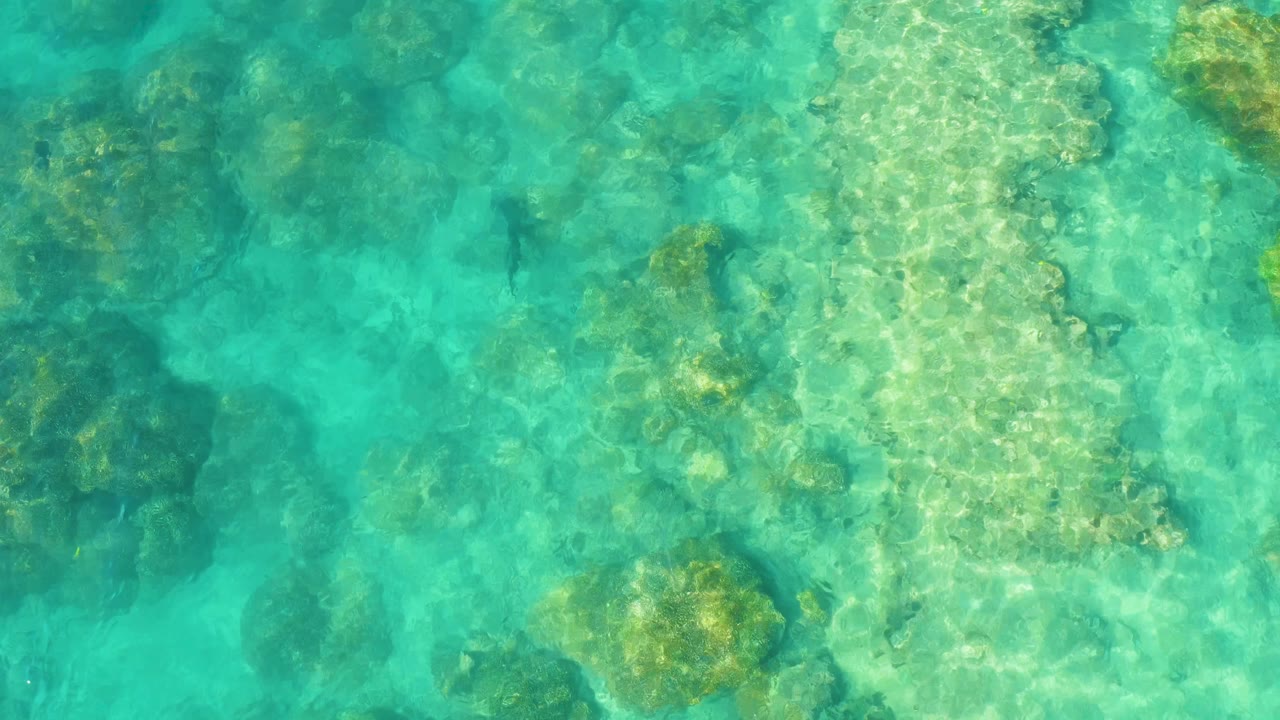 Overhead view of clear turquoise water above coral and rock patches in Cabo Pulmo, with a small dark fish shape near the upper-left area and no visible people.