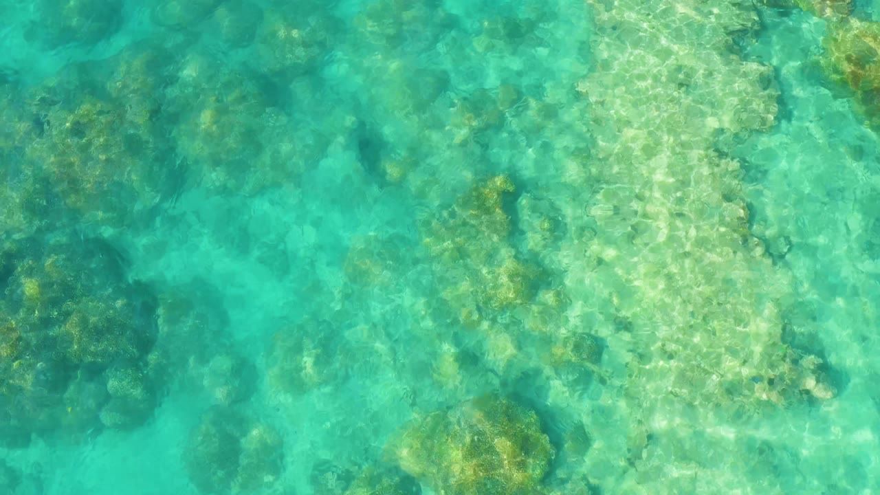 Top-down Cabo Pulmo water frame with turquoise shallows, mottled coral formations, bright ripple patterns, and a faint fish shape among the darker patches, with no visible people.
