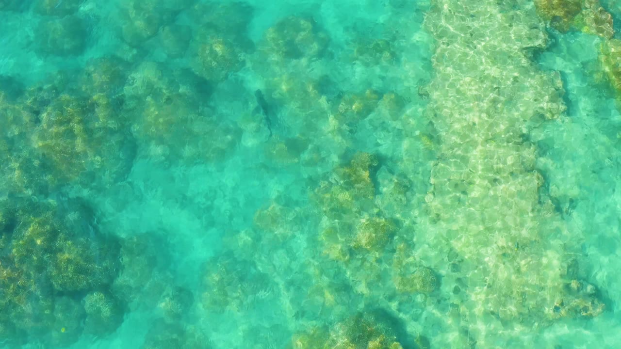 Coral reef and rocky formations beneath clear turquoise water