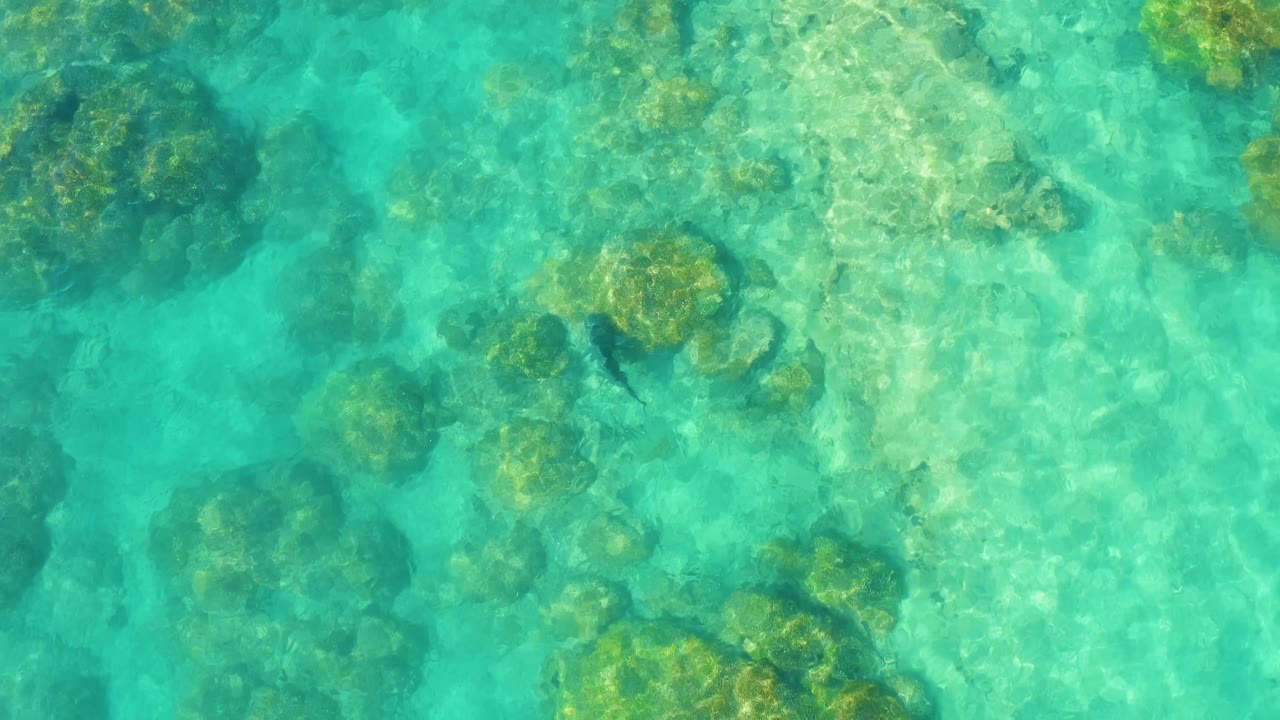 Clear water with coral heads and sandy seabed.