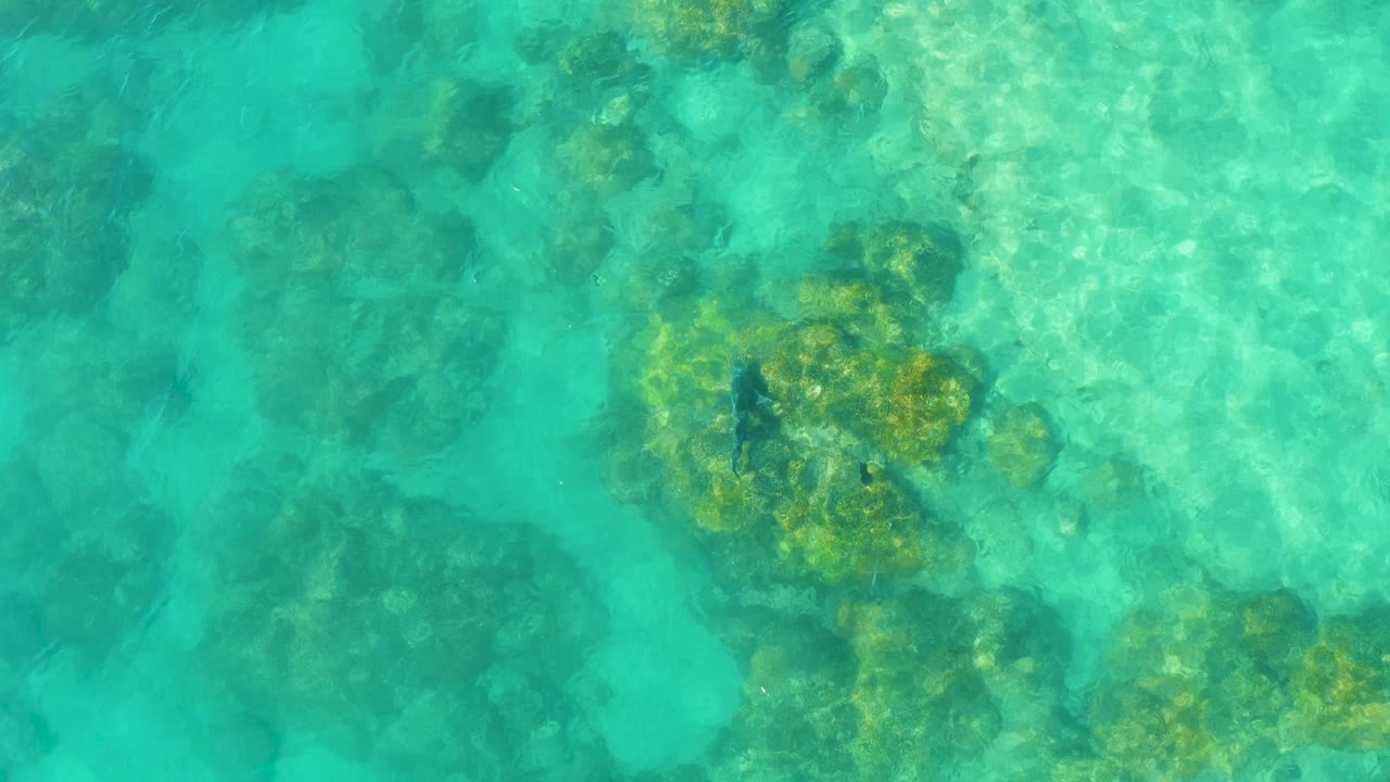 Top-down view of clear turquoise water over shallow coral and rock patches in Cabo Pulmo, Mexico, with no visible people.