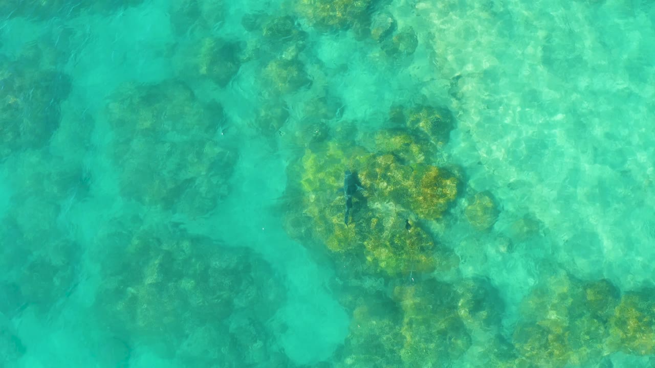 Clear aqua water reveals pale seabed and darker reef patches in Cabo Pulmo, Mexico, with no visible people.