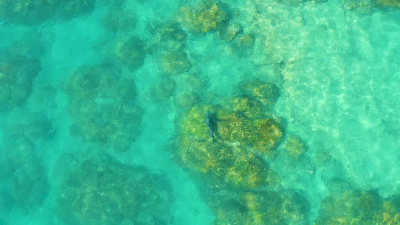Turquoise water covers scattered coral and rock forms on the shallow seabed in Cabo Pulmo, Mexico, with no visible people.