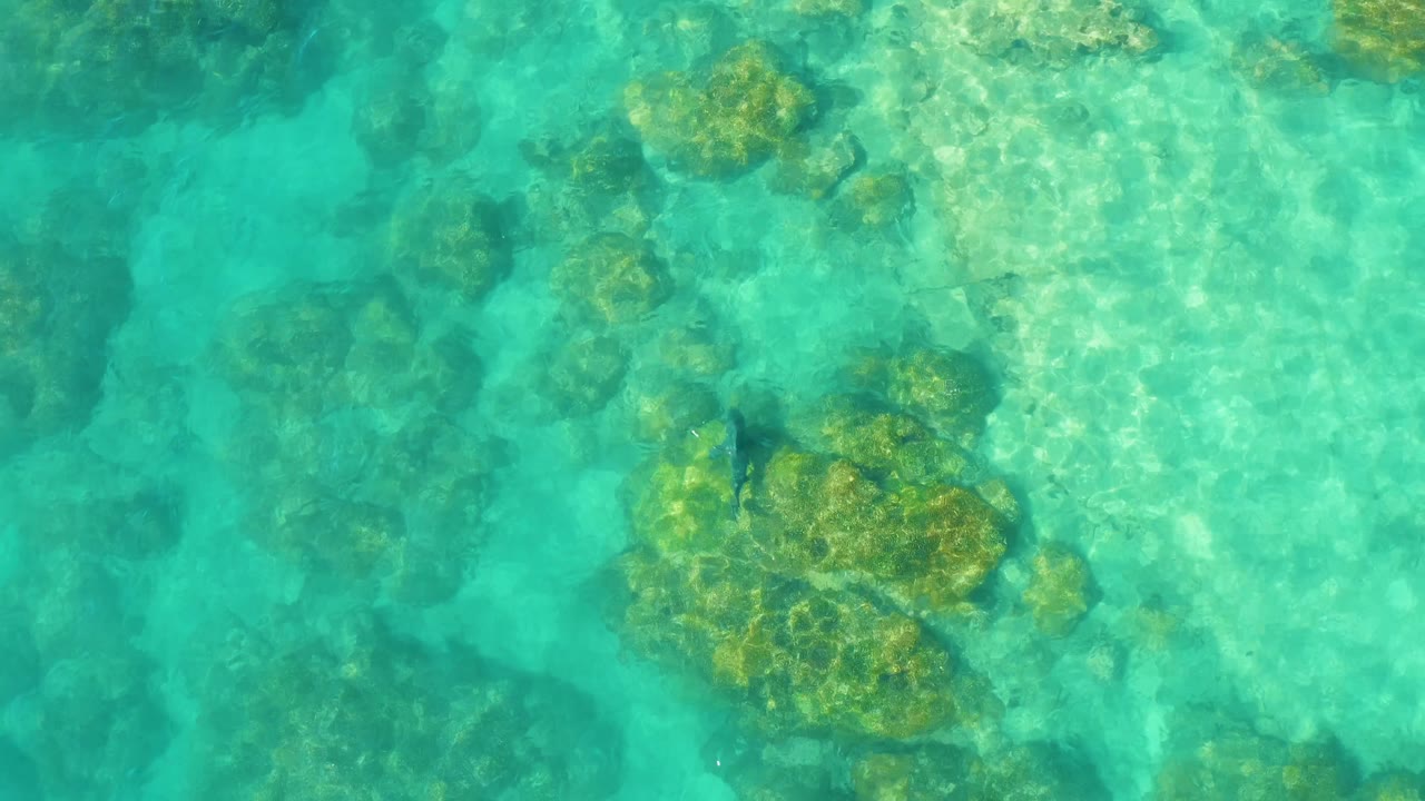 Shallow reef seen through bright turquoise water.