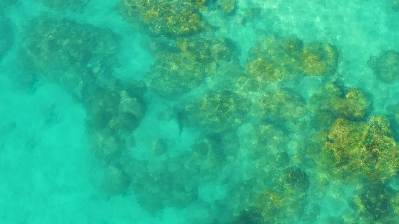 Clear water in Cabo Pulmo reveals a broad cluster of darker reef rocks beneath small surface ripples, with no visible people.