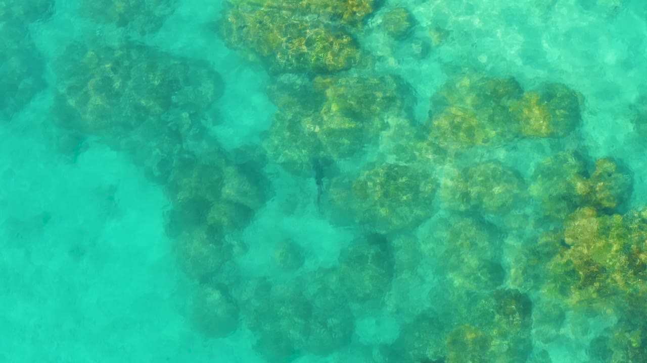 Bright turquoise water in Cabo Pulmo covers scattered rock and coral shapes, with a larger mottled patch near the right side and no visible people.