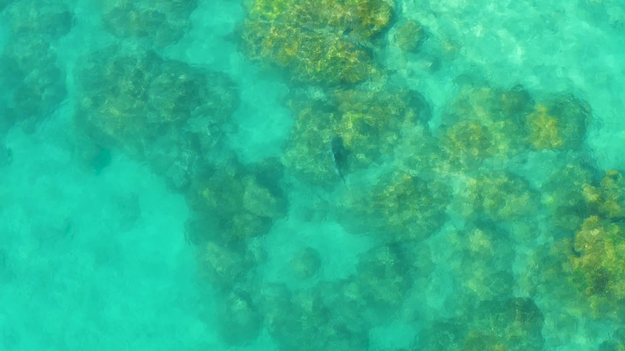 Rippled turquoise sea in Cabo Pulmo reveals darker underwater rocks across the left and center, with yellow-green coral texture and no visible people.