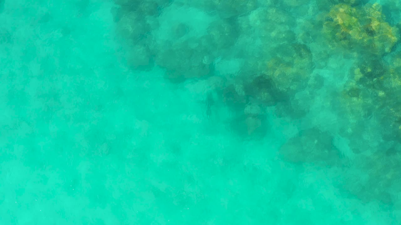 Clear turquoise water reveals coral and rock formations concentrated near the top of the Cabo Pulmo frame, with no visible people.