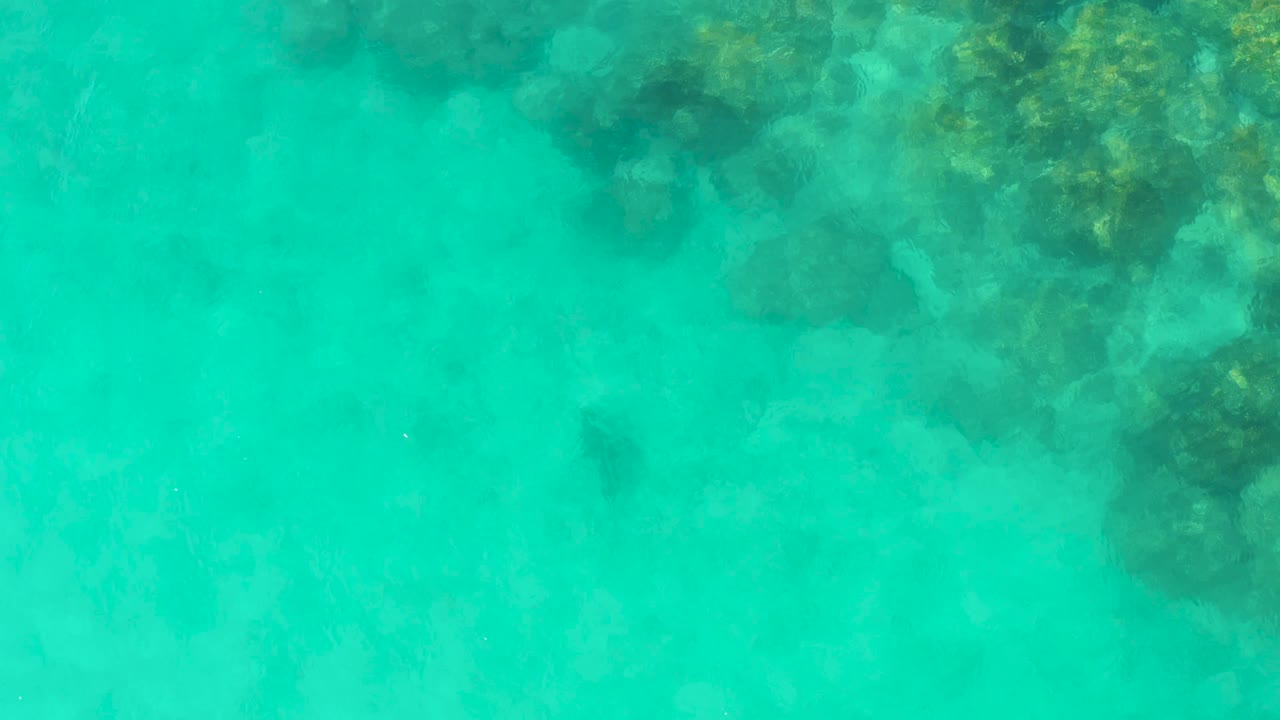 Overhead Cabo Pulmo water frame with translucent turquoise color and a cluster of submerged rocks along the upper-right side, with no visible people.