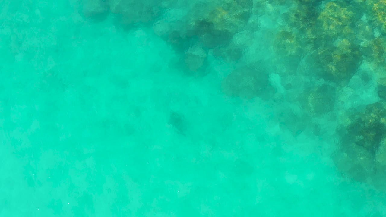 Top-down view of Cabo Pulmo shallows where muted green and brown reef rocks sit beneath bright turquoise water, with no visible people.