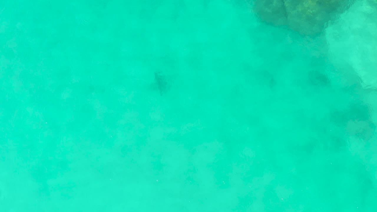 Overhead view in Cabo Pulmo of clear turquoise shallows with a faint dark stingray near the upper-right area, pale sand below, reef rock at the top edge, and no visible people.
