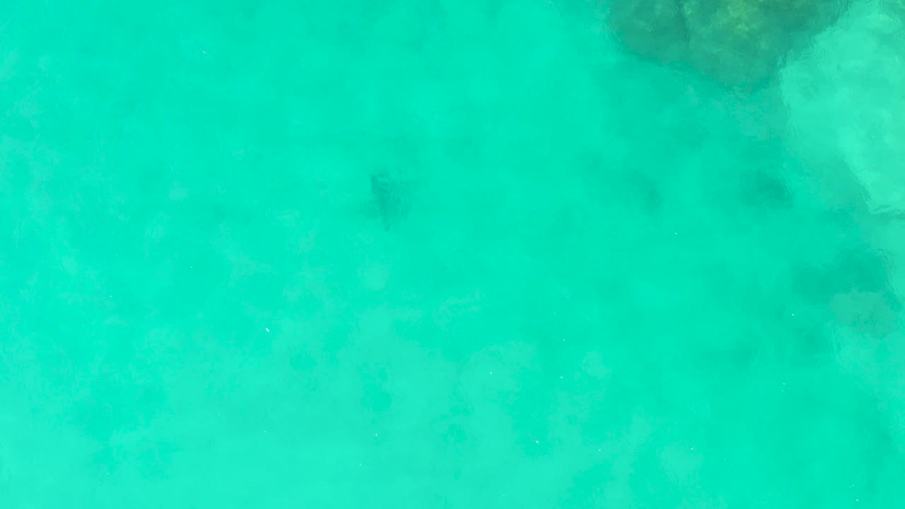 Cabo Pulmo shallows seen from above, with the stingray slightly farther left in the open turquoise water and mottled reef rock near the upper edge, with no visible people.