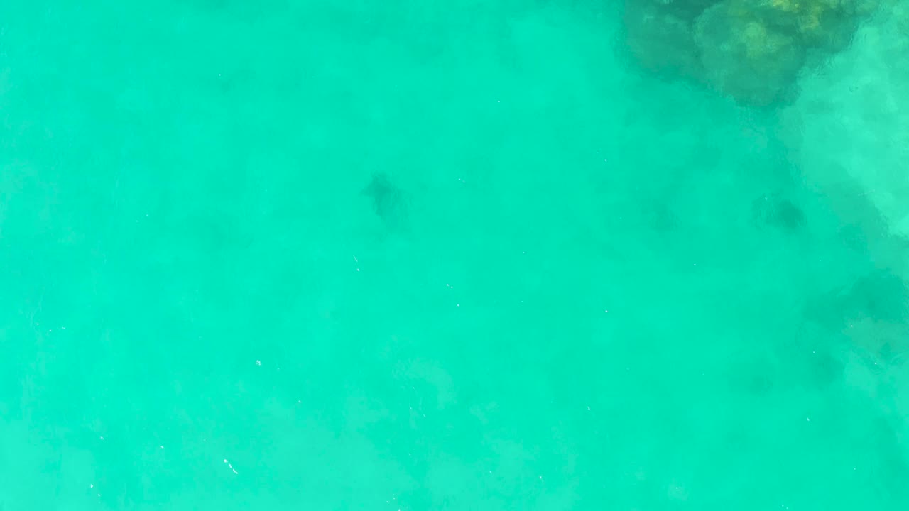 A top-down Cabo Pulmo frame shows the stingray as a dark shape in blue-green shallow water, with pale sand patterns and a reef patch entering from the upper right, and no visible people.