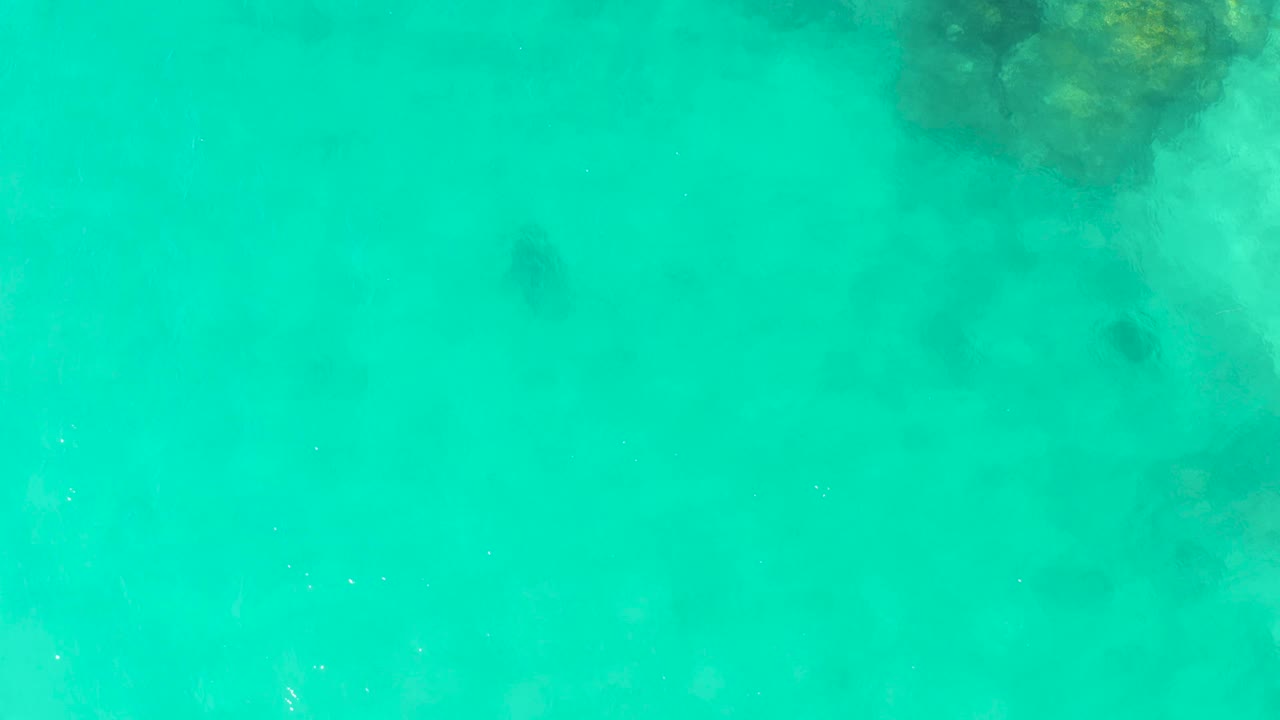Turquoise water over sand with stingray moving below a large reef formation.