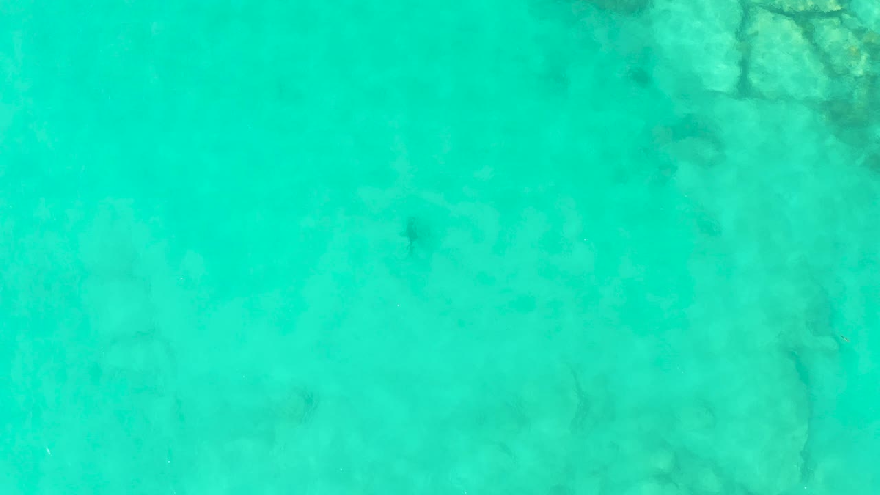Overhead view of clear turquoise water over pale seabed rocks in Cabo Pulmo, Baja California Sur, with no visible people.