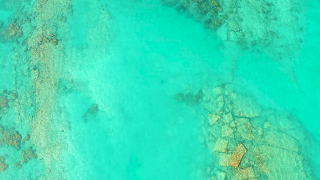 The fish sits farther left in the overhead Cabo Pulmo frame, surrounded by clear blue-green water, pale sand, and reef-like rock patches, with no visible people.