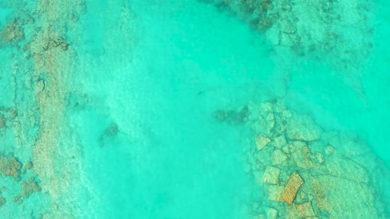 Overhead shallow water with rocks and a small fish left of center.