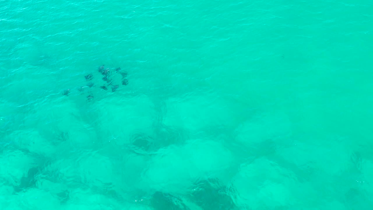 Small fish school over turquoise shallow water and rocks