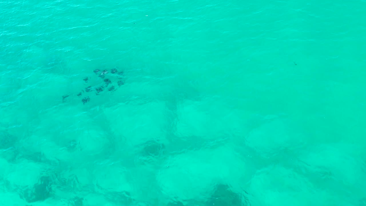 A dark fish school is visible near the top of the overhead frame, with milky rock shapes beneath the shallow Cabo Pulmo water and no visible people.