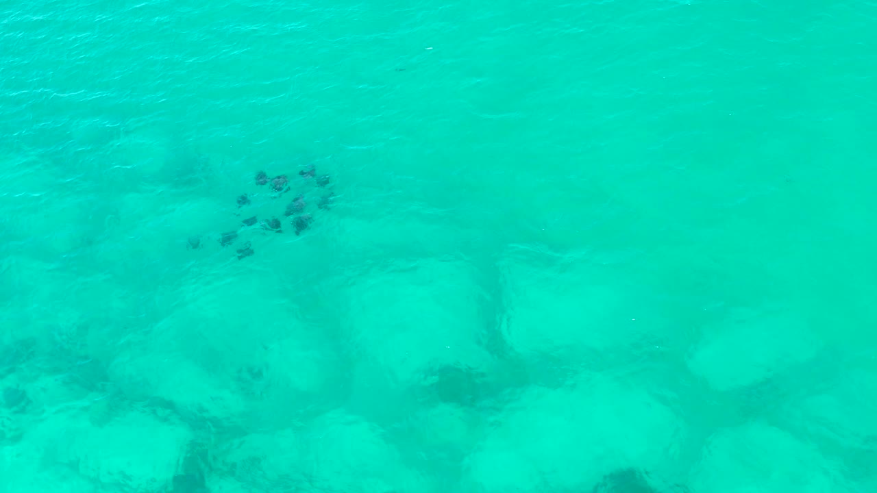 The fish school appears toward the left side over clear turquoise Cabo Pulmo water, with darker rock patches below and no visible people.