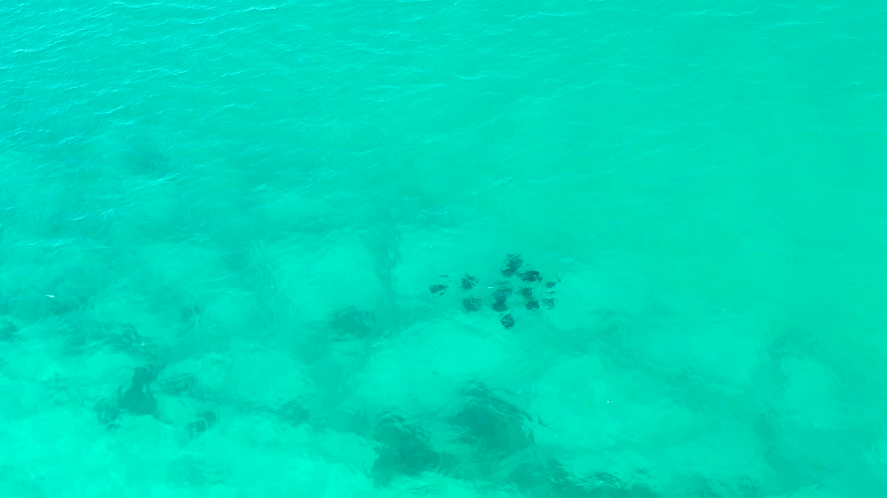 At 0:00 in Cabo Pulmo, a small cluster of dark fish appears over pale sand and submerged rock shapes in clear turquoise water, with no visible people.