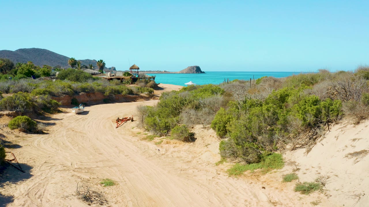 The Cabo Pulmo shoreline sits behind a sandy track and dense low shrubs, with bright turquoise water, a small umbrella near the left midground, and no visible people.