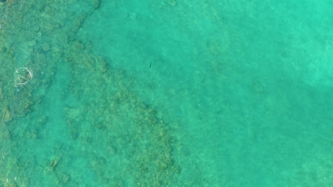 Clear water with reef and pale surface bubbles