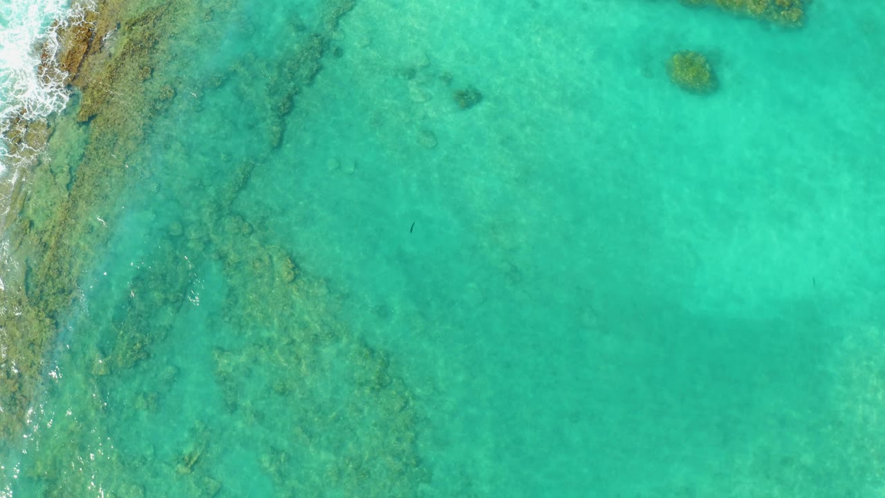 Clear shallow ocean over Cabo Pulmo reef, with rocky coastal texture on the left and open turquoise water through the center, no visible people.